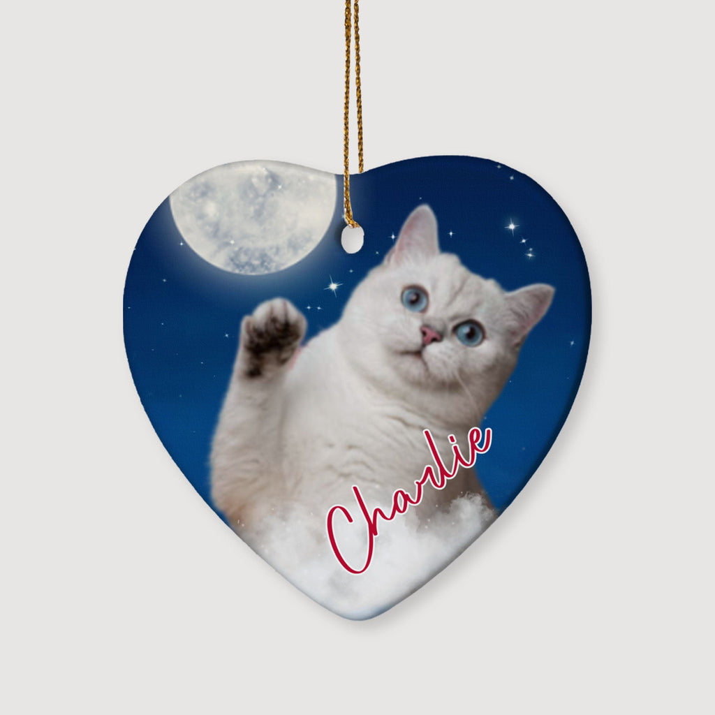 Custom Pet Photo Memorial Ornament, Conversation with Your Own Photo Heart Ceramic Ornament C552O