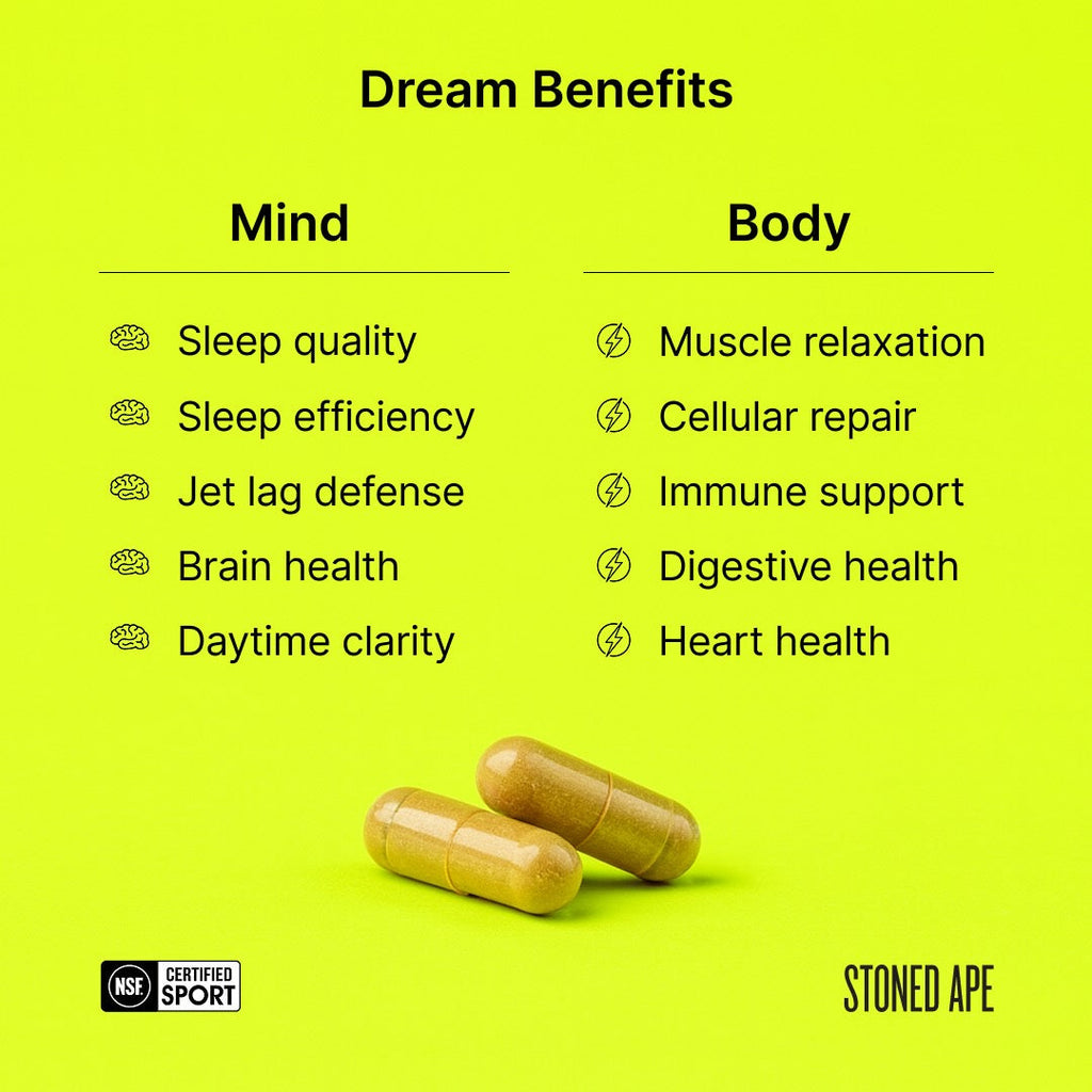 Recovery Bundle (Dream + ZenX) - RaeJais