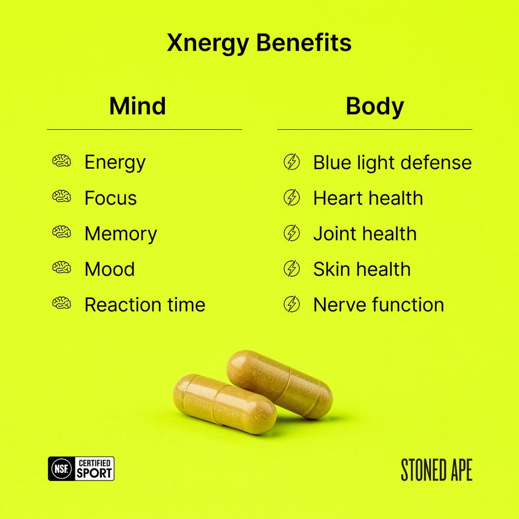 Xnergy: A.M. Nootropic for Calm Energy, Focus & Motivation - RaeJais
