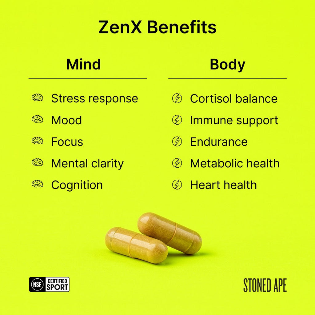 Recovery Bundle (Dream + ZenX) - RaeJais