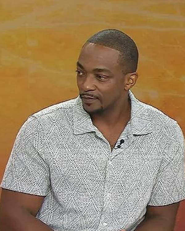 Today Anthony Mackie Sage Green Knit Shirt