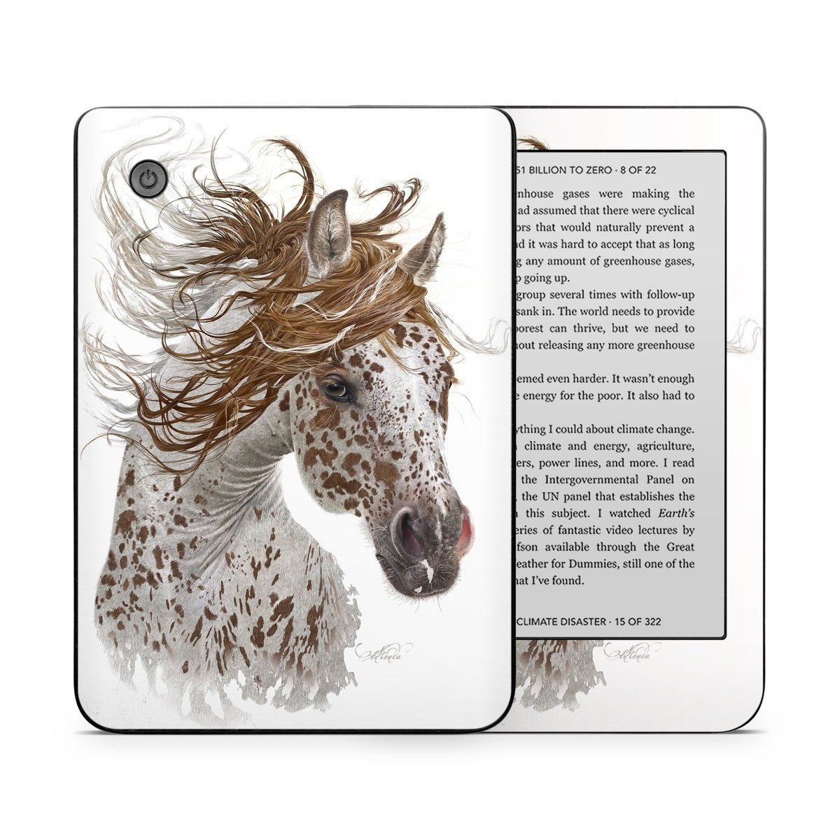 Appaloosa - Kobo Clara 2E Skin