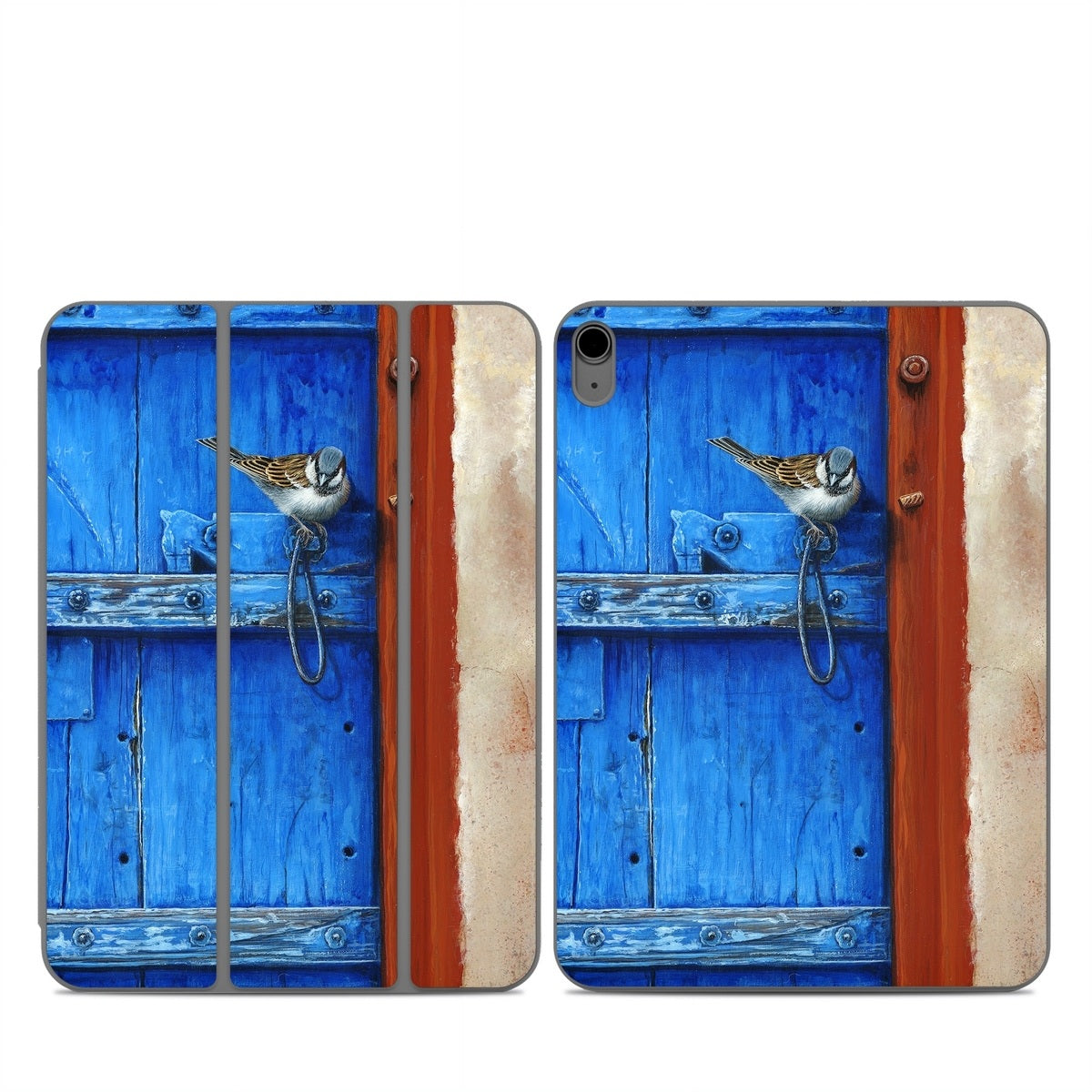Blue Door - Apple Smart Folio Skin