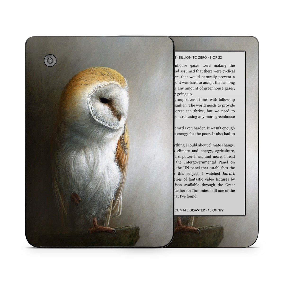 Barn Owl - Kobo Clara 2E Skin