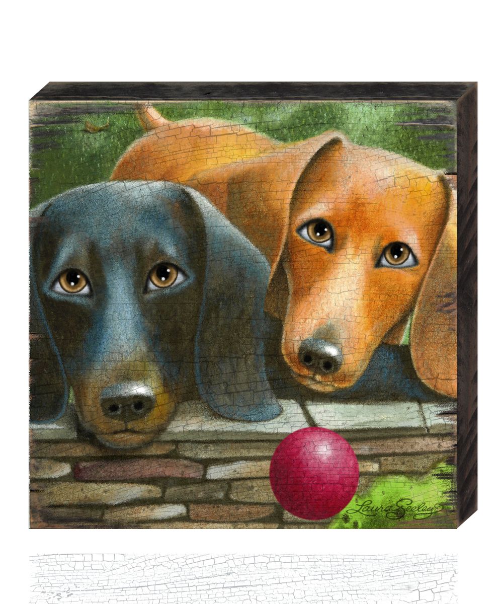 Where&amp;#39;s the Ball Wooden Wall Art by Laura Seeley - Pets Dog and Cats Decor - 8511116B