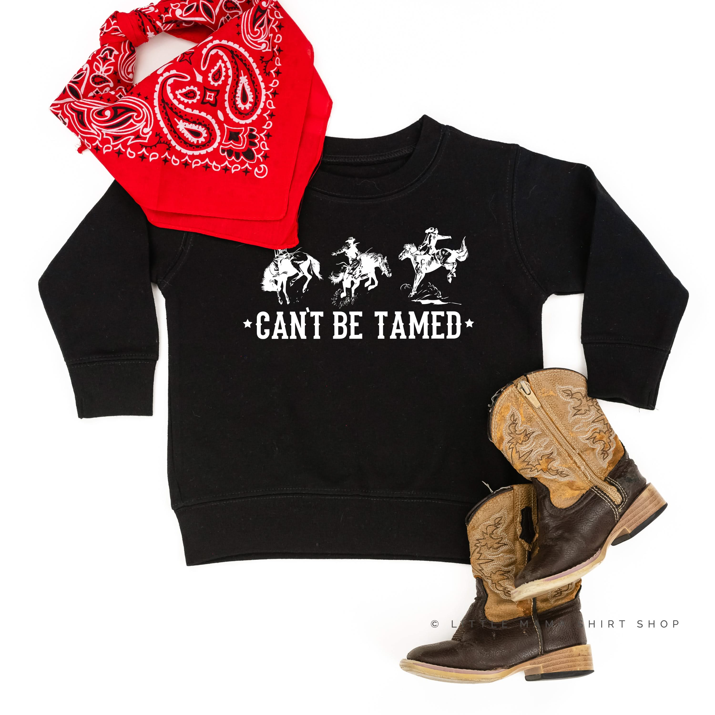 Can&amp;#39;t Be Tamed - Child Sweater