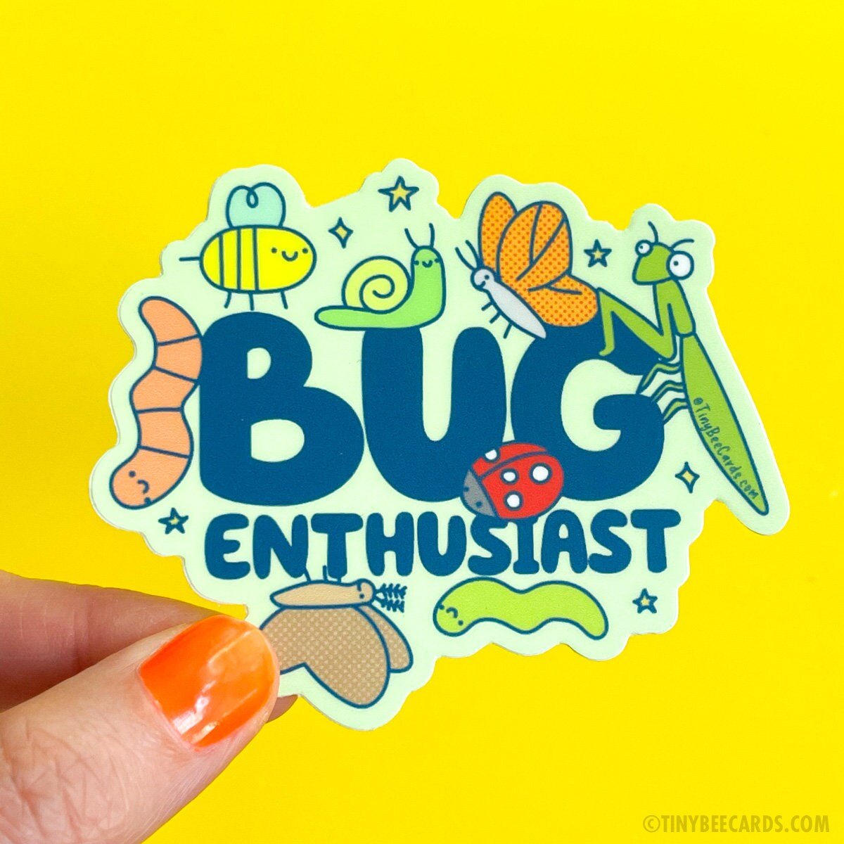 Bug Enthusiast Insect Lover Vinyl Sticker