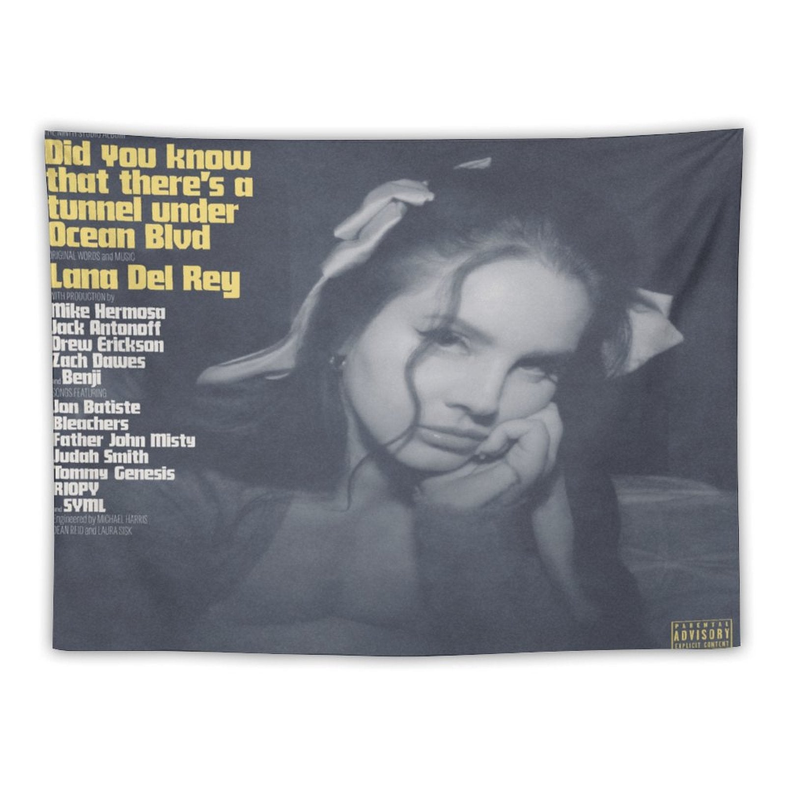 Did You Know That There’s A Tunnel Under Ocean Blvd Tapestry