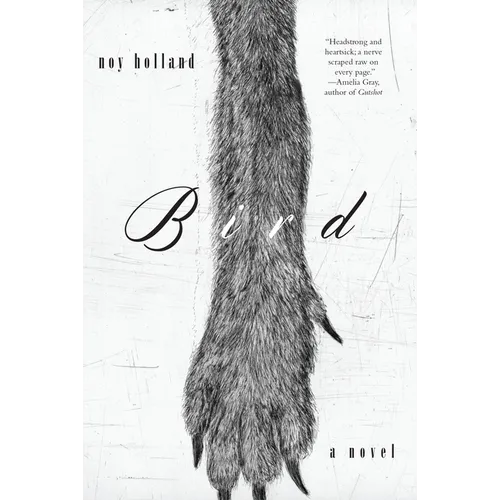 Bird - Paperback