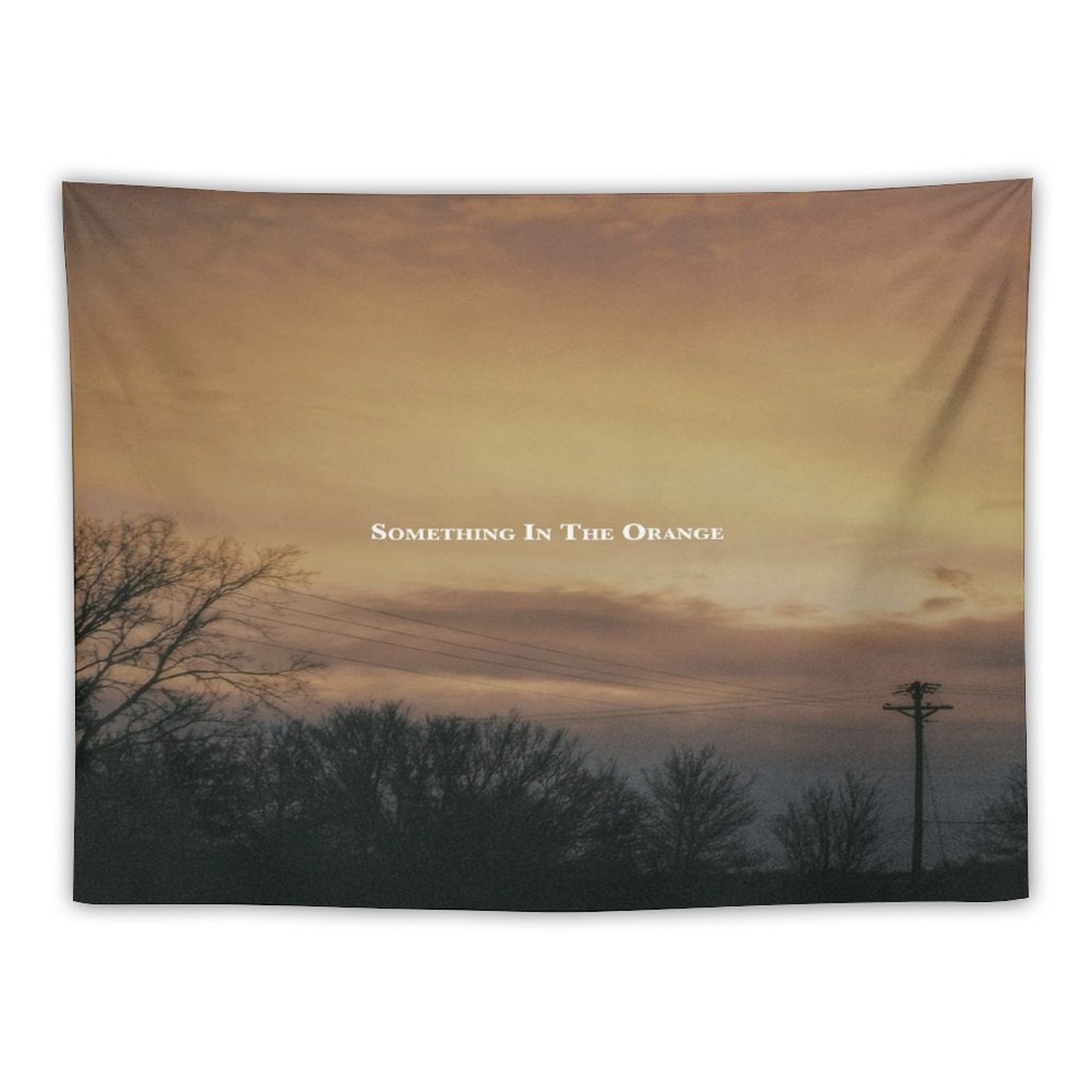 Zach Singer Bryan - Something in The Orange Tapestry