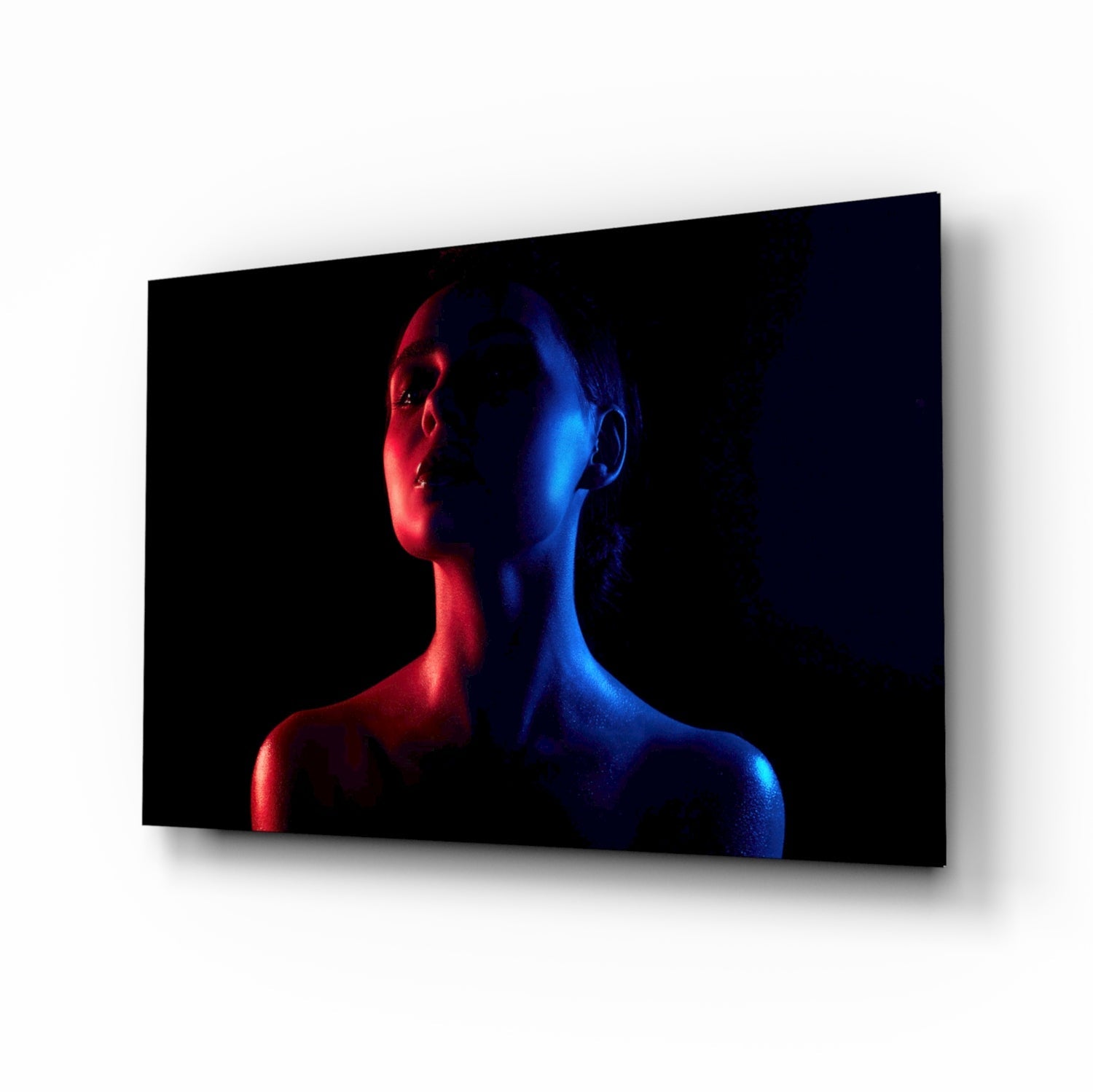 Women&amp;#39;s Glass Wall Art