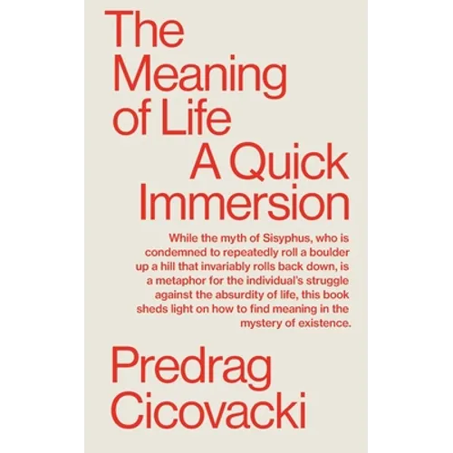 The Meaning of Life: A Quick Immersion - Paperback
