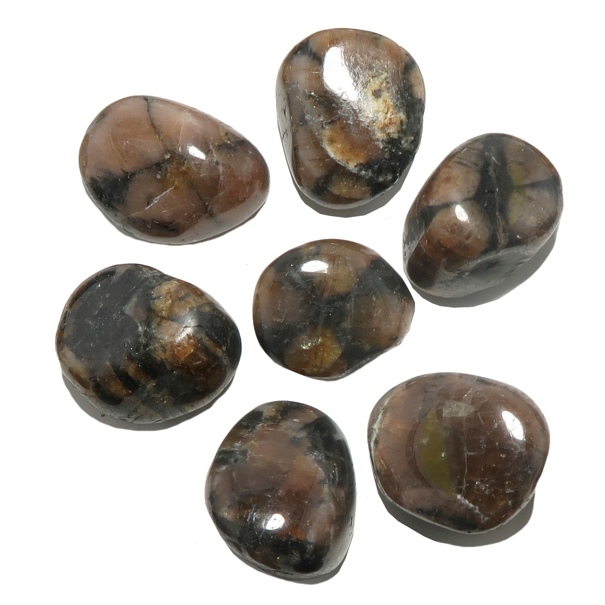 Chiastolite Tumbled Stone Holy Cross Crystal