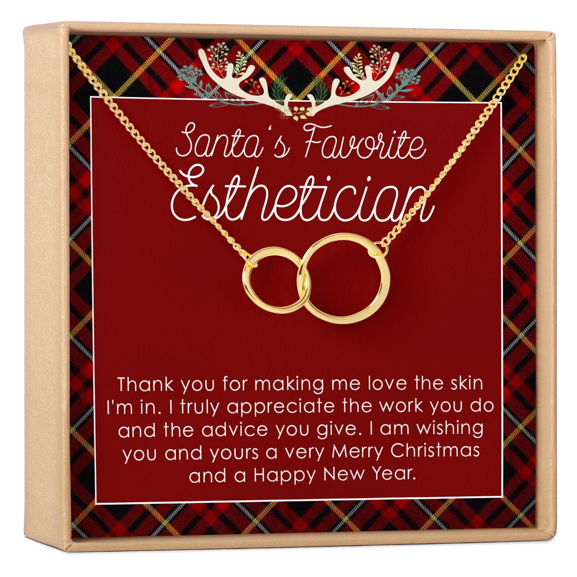 Christmas Gift Esthetician Double Circles Necklace