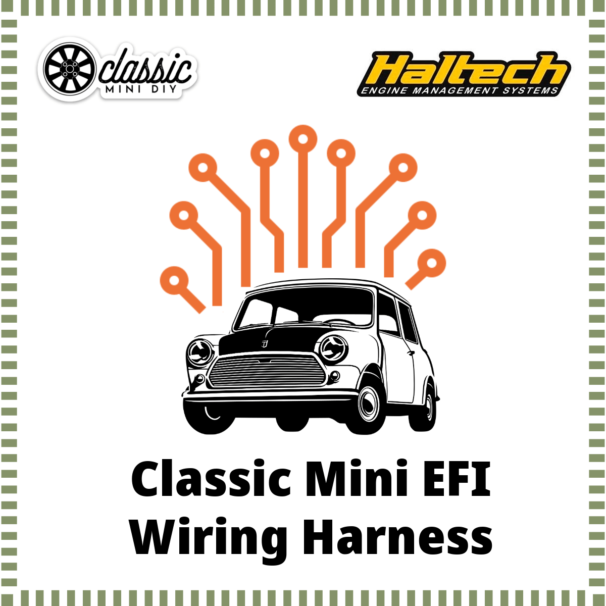Classic Mini Haltech Nexus R3 + PD16 Wiring Diagram