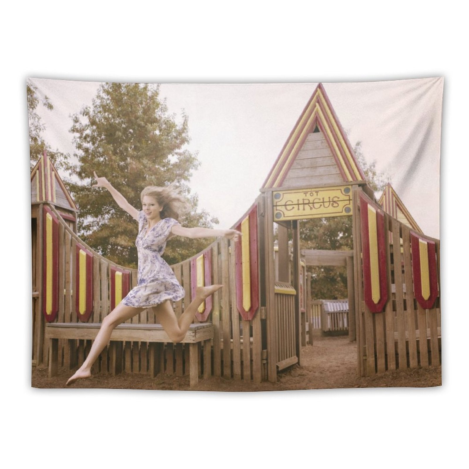 Taylor Dance in The Air Tapestry