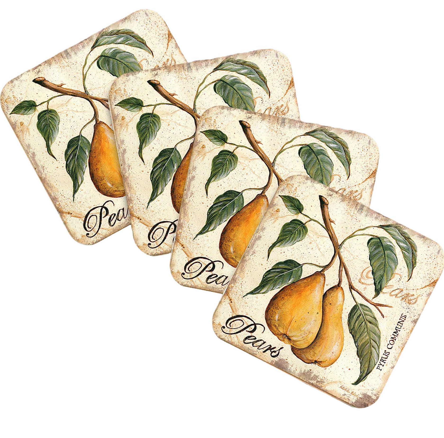 Pears Wooden Cork Coasters Gift Set of 4 by Nature Wonders - Nature Wildlife Decor  - 8198631C-S4