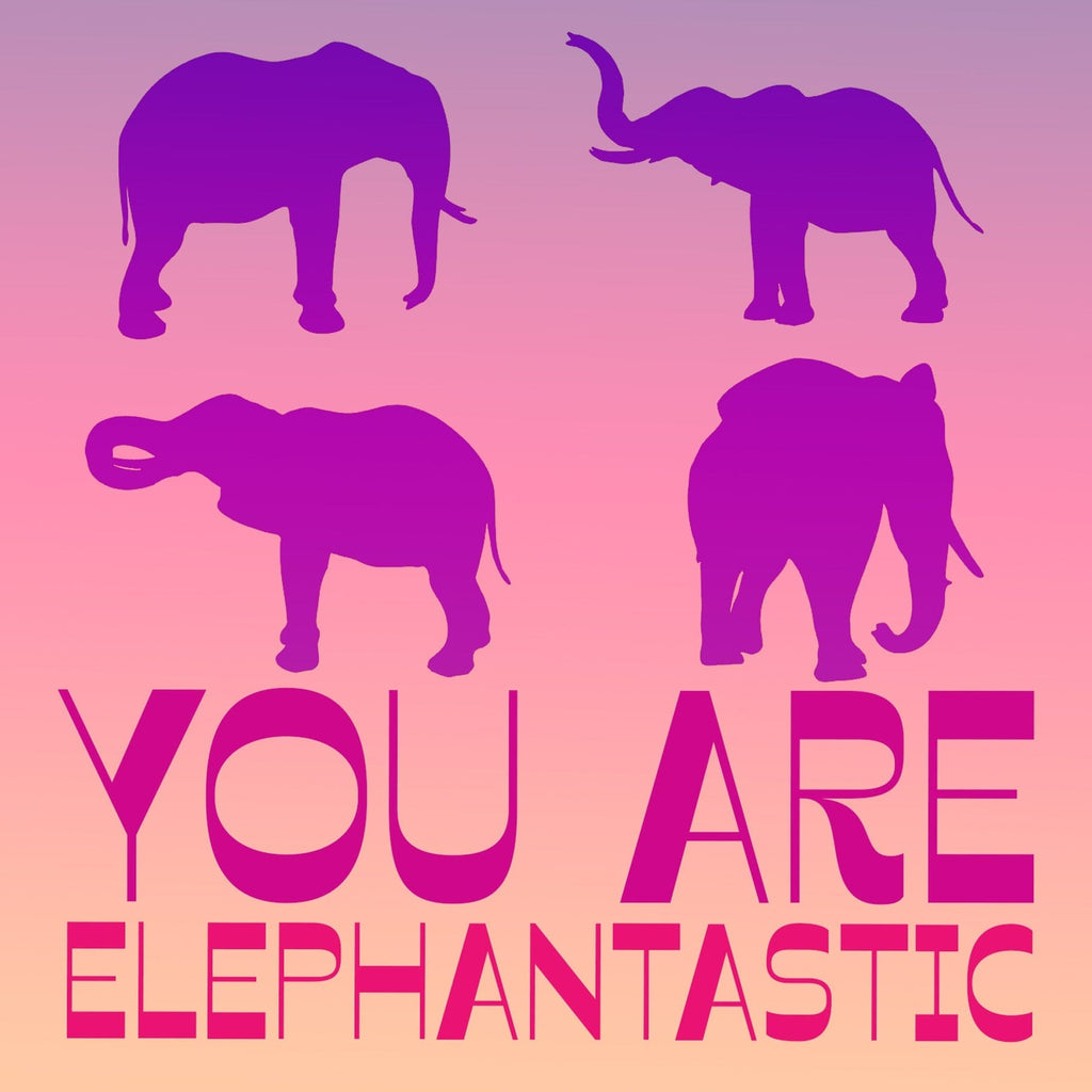 Elephant Lover Gift Box Set