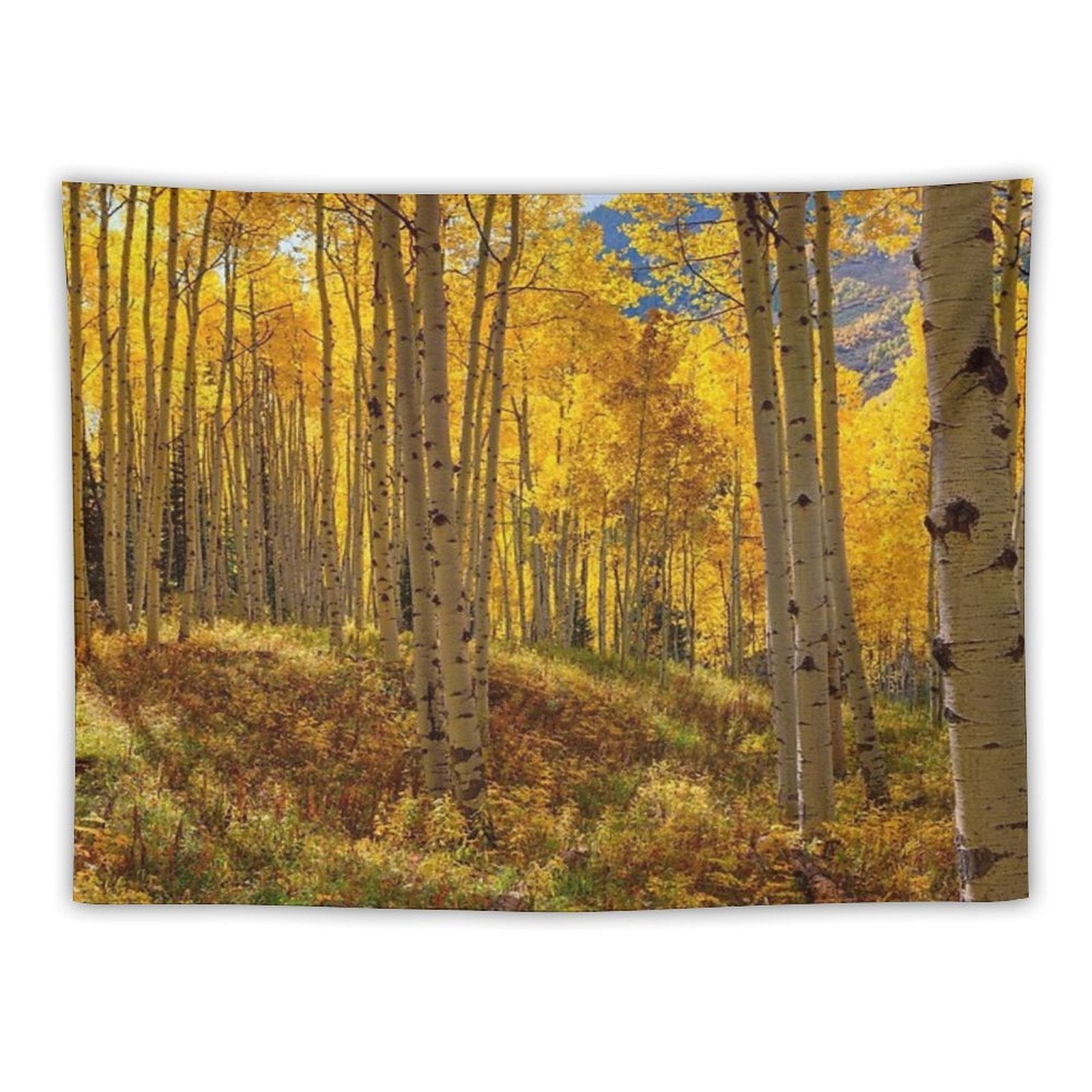 Autumn Aspen Forest Aspen Colorado Panorama Tapestry