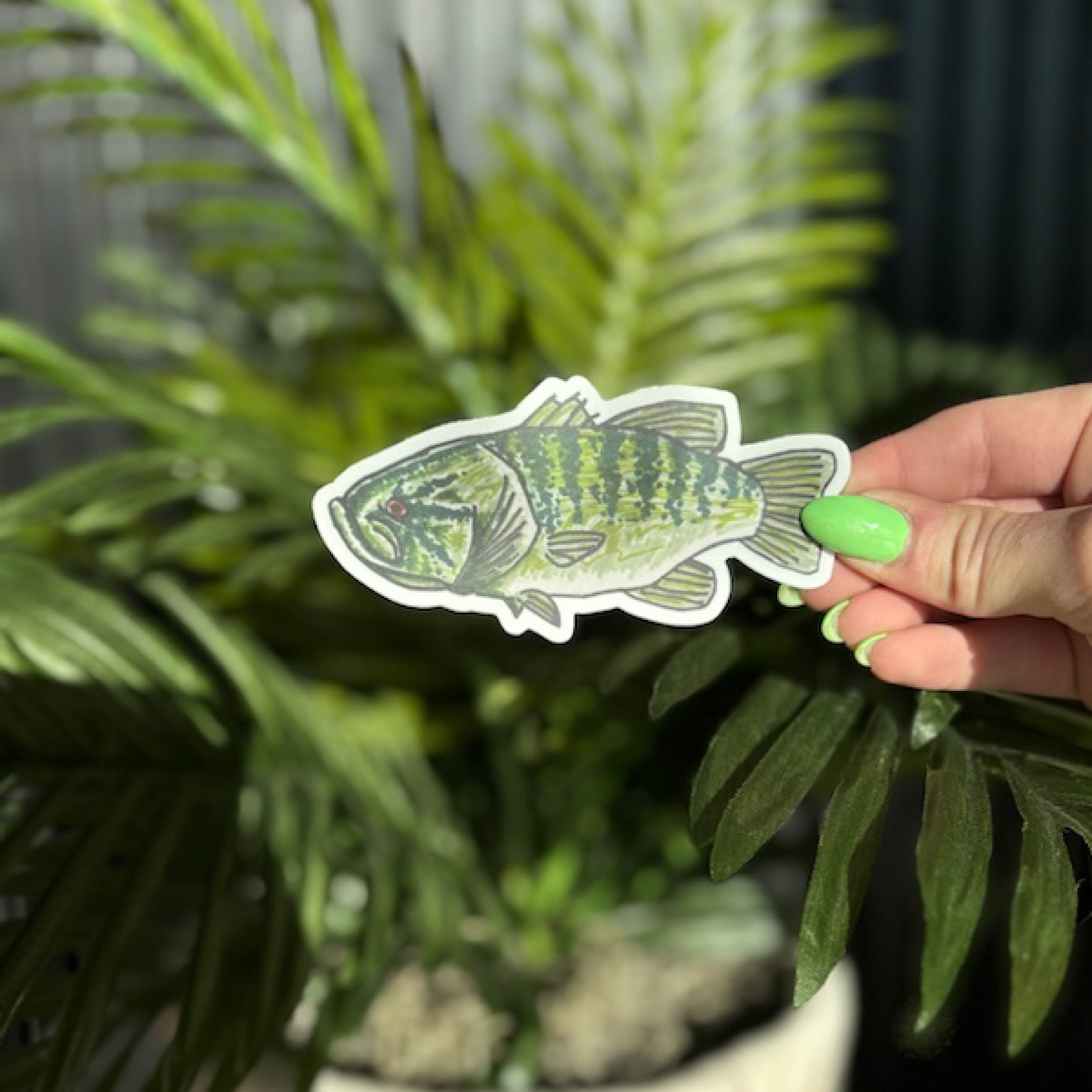 LMSS® STICKER - Smallmouth Bass