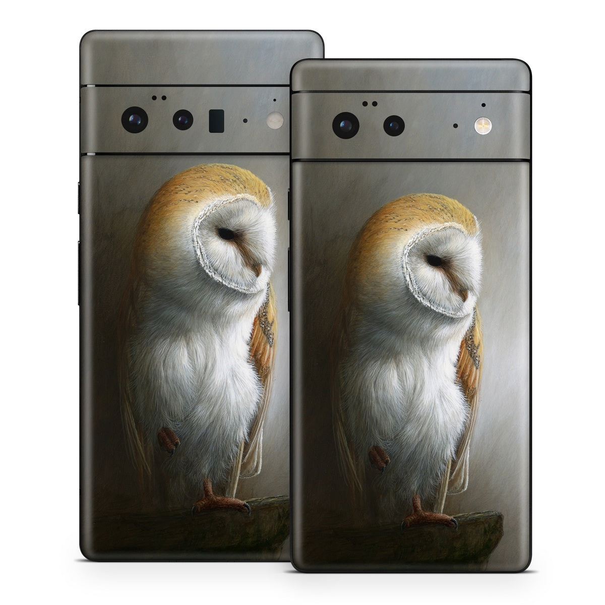 BARN OWL - GOOGLE PIXEL 6 SKIN