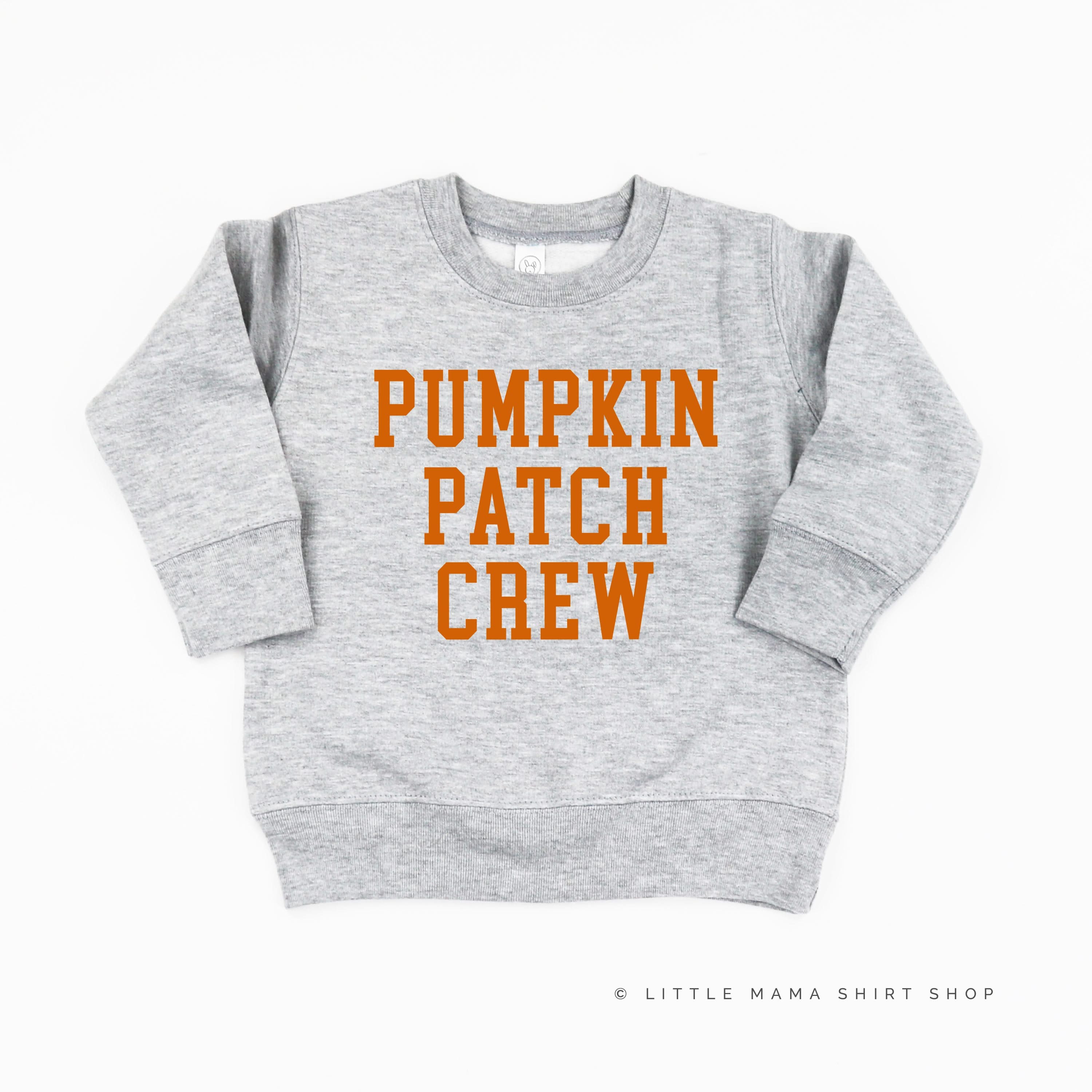 Pumpkin Patch Crew - Child Sweater
