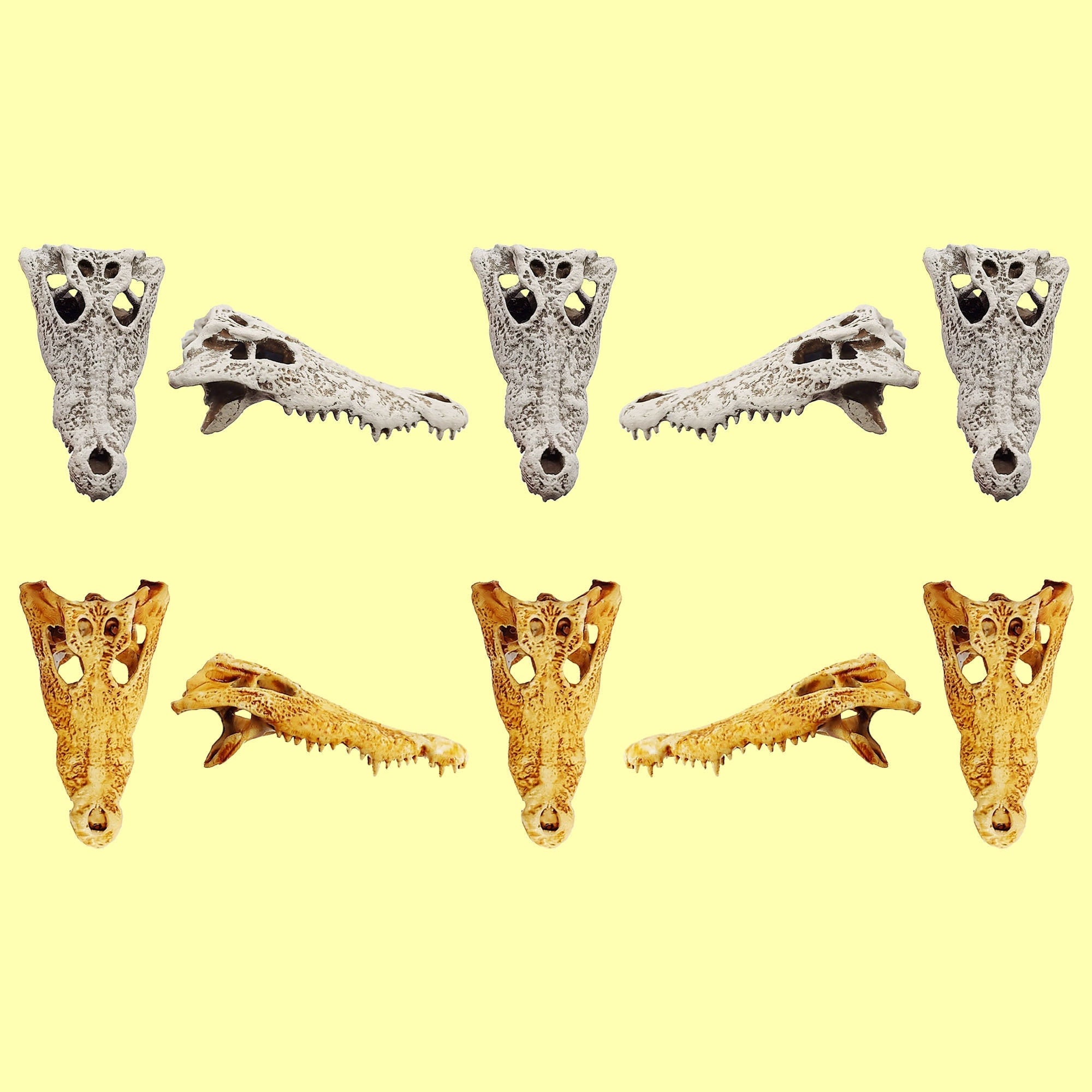 Crocodile Skull (Field Bones #32: Africa) 1:12 scale replica reptile skull for diorama, dollhouse, terrariums, art craft supplies curiosities oddities (set of 5)