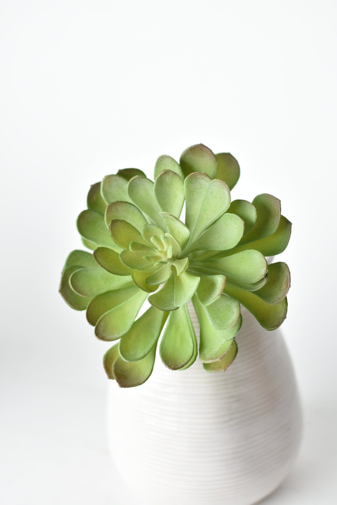 6&amp;quot; Faux Soft Aeonium Succulent Pick