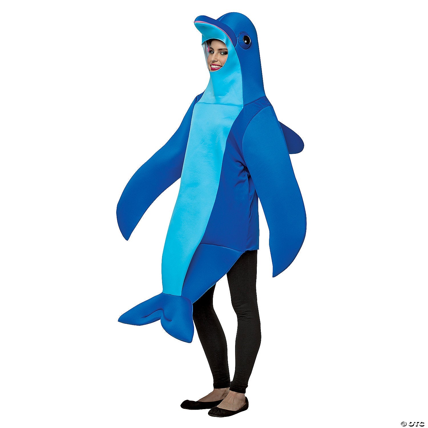 Kids Dolphin Costume, Child Large