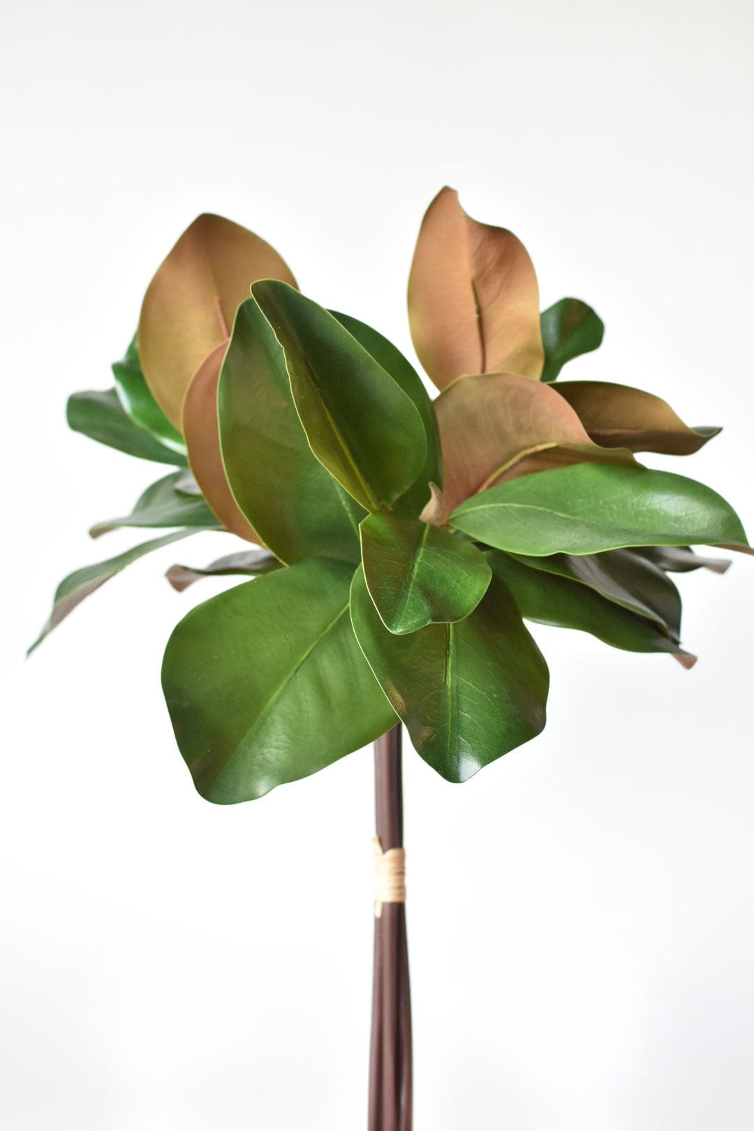 18&amp;quot; Faux Magnolia Leaf Bundle