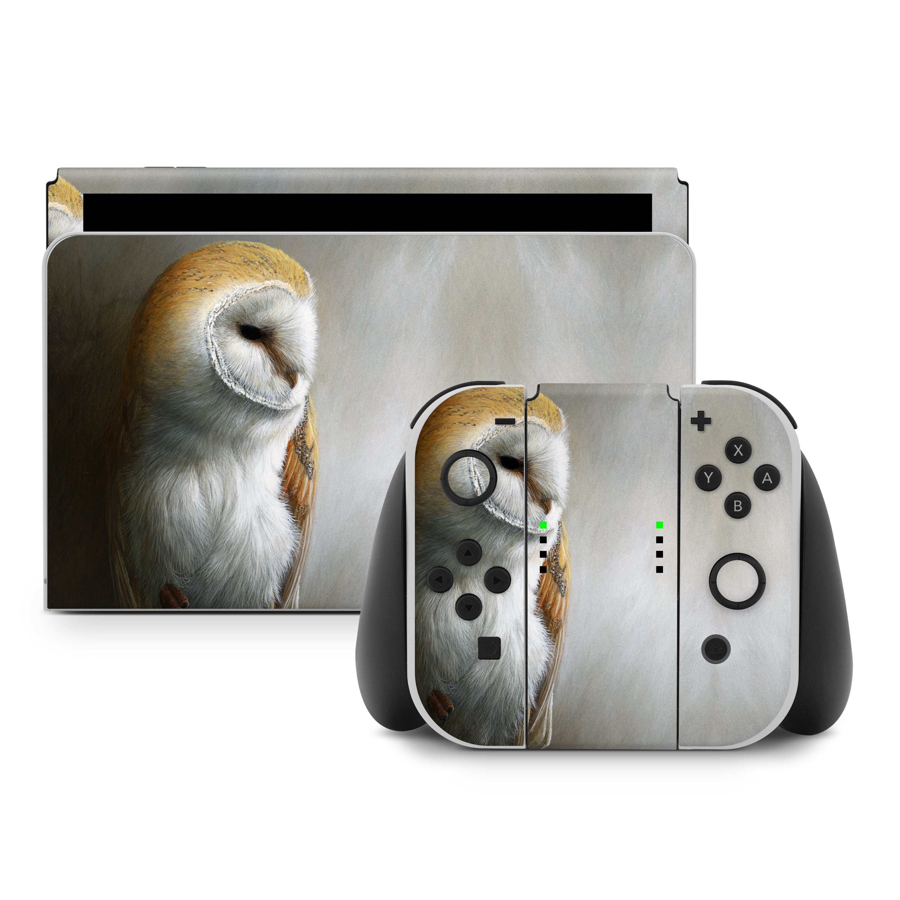 Barn Owl - Nintendo Switch Skin