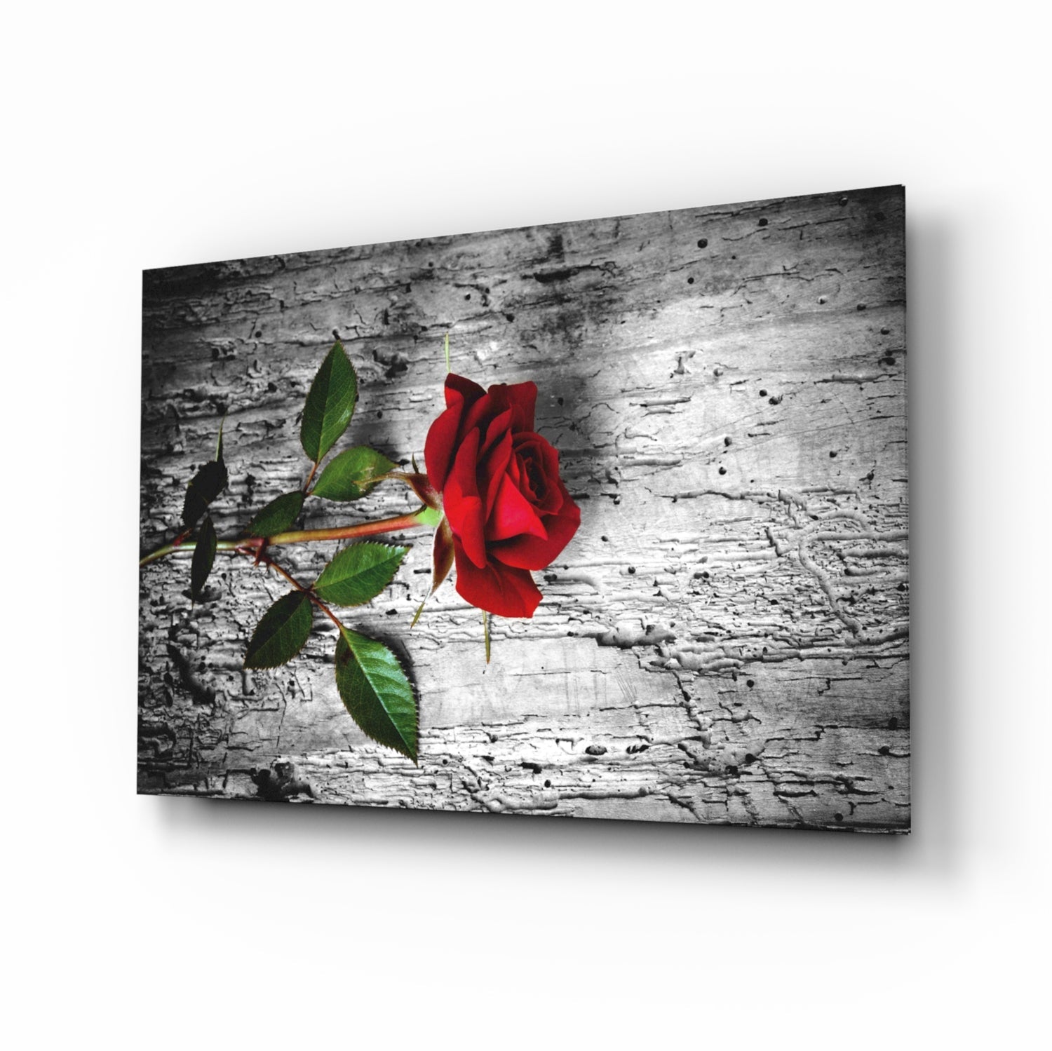 Red Rose Glass Wall Art