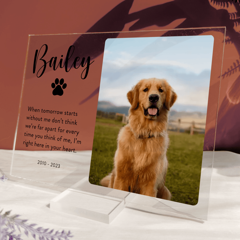 Memorial Plaque with Photo - Personalized Gifts for Pet Loss, Sympathy Gift for Cat, Dog and Any Other Animals | Custom Acrylic Plaque