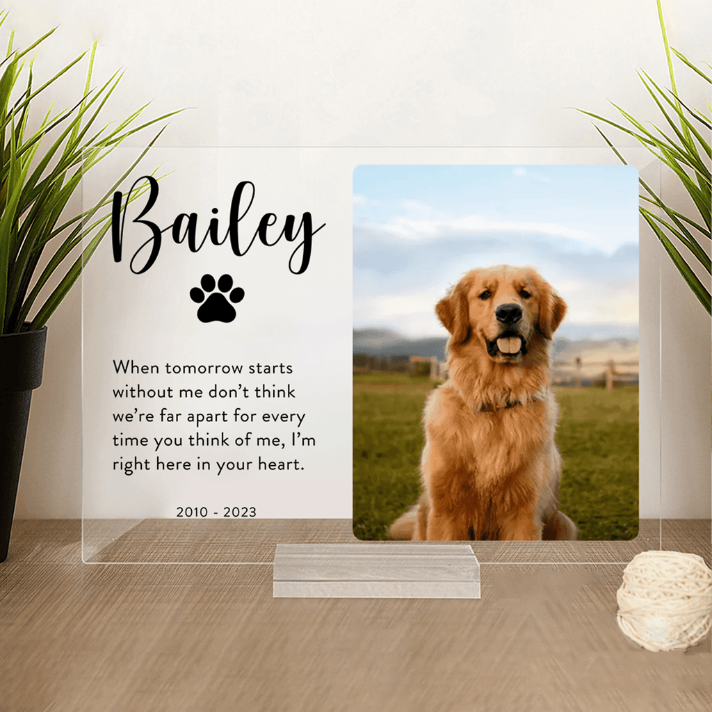 Memorial Plaque with Photo - Personalized Gifts for Pet Loss, Sympathy Gift for Cat, Dog and Any Other Animals | Custom Acrylic Plaque