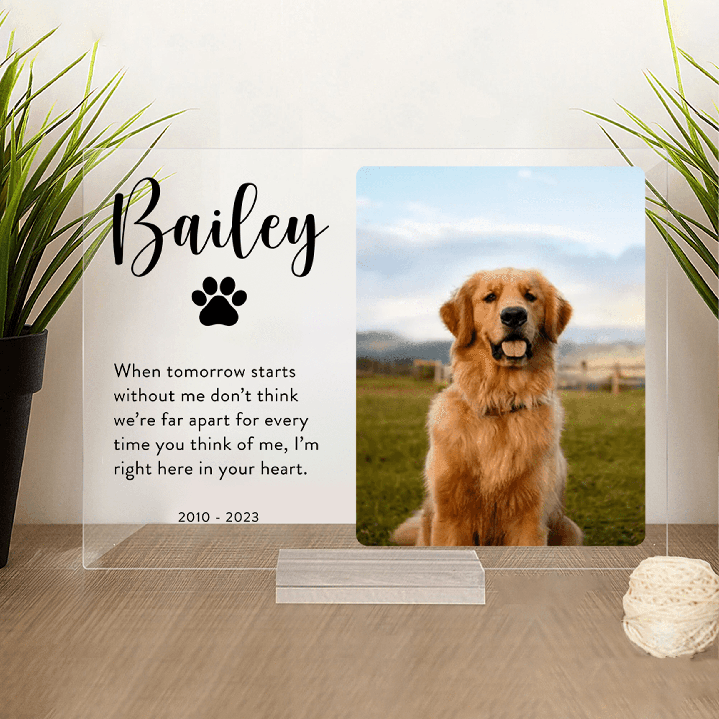 Memorial Plaque with Photo - Personalized Gifts for Pet Loss, Sympathy Gift for Cat, Dog and Any Other Animals | Custom Acrylic Plaque