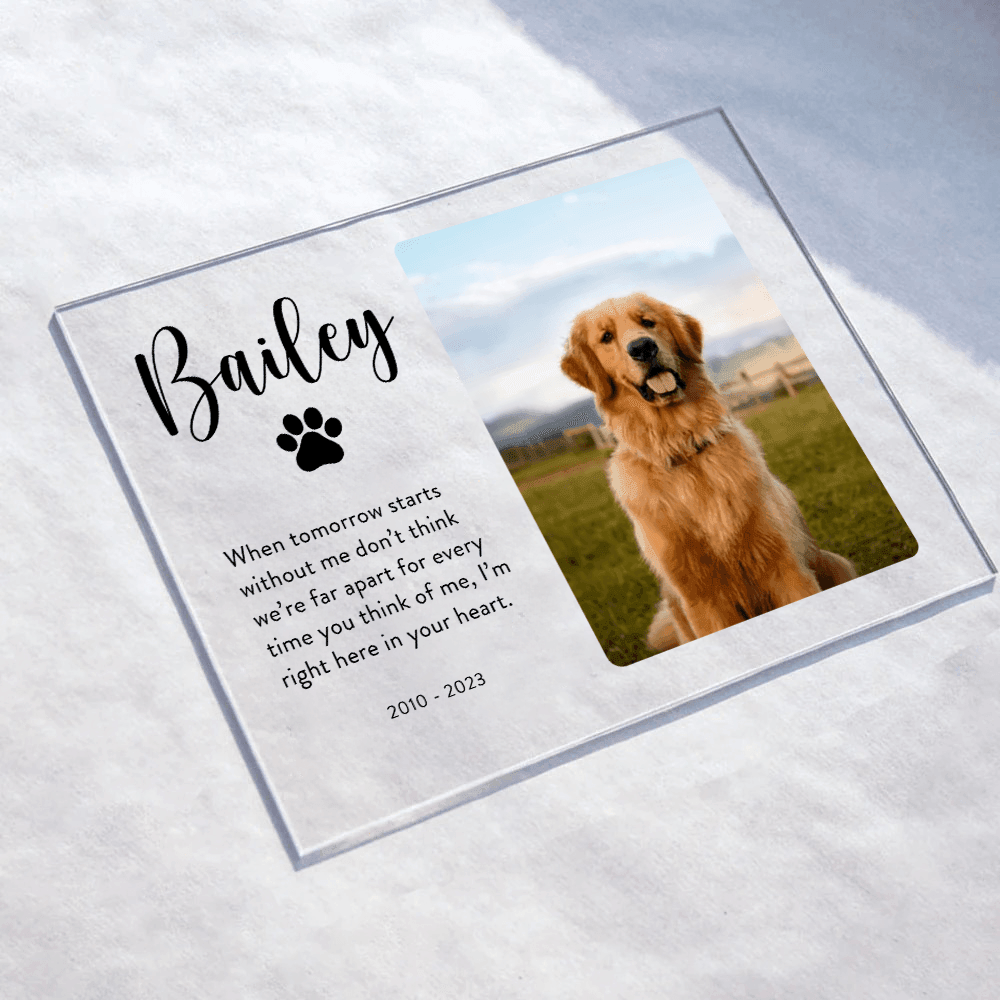 Memorial Plaque with Photo - Personalized Gifts for Pet Loss, Sympathy Gift for Cat, Dog and Any Other Animals | Custom Acrylic Plaque