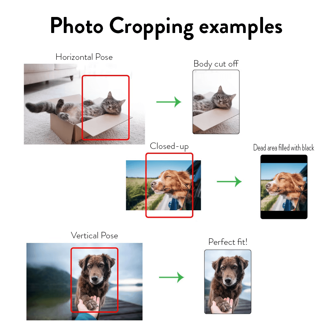 Memorial Plaque with Photo - Personalized Gifts for Pet Loss, Sympathy Gift for Cat, Dog and Any Other Animals | Custom Acrylic Plaque