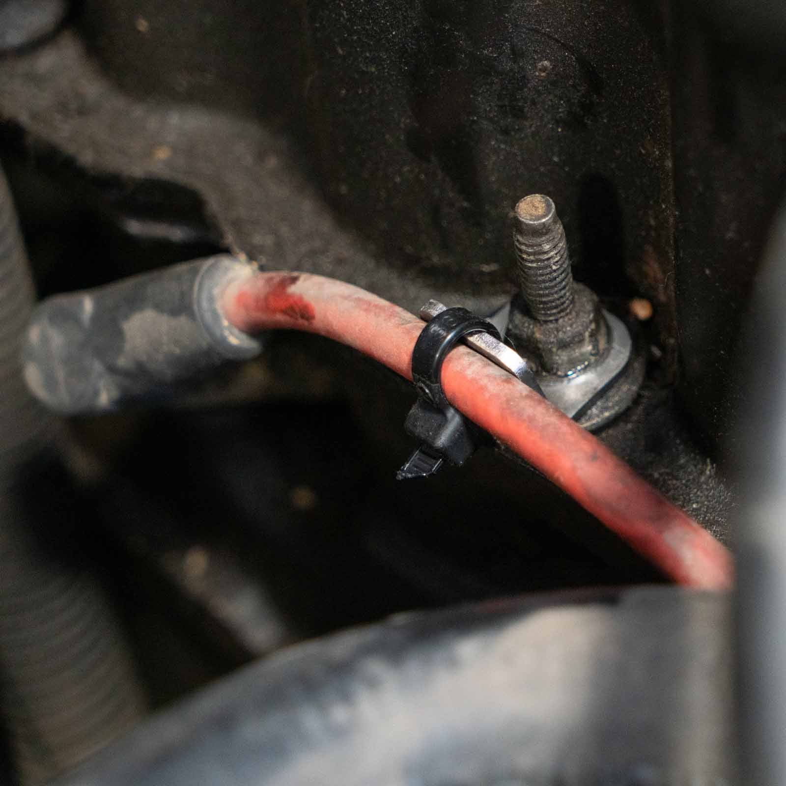 Bolt on Zip tie Tab 1/4&quot; (5 Pack)