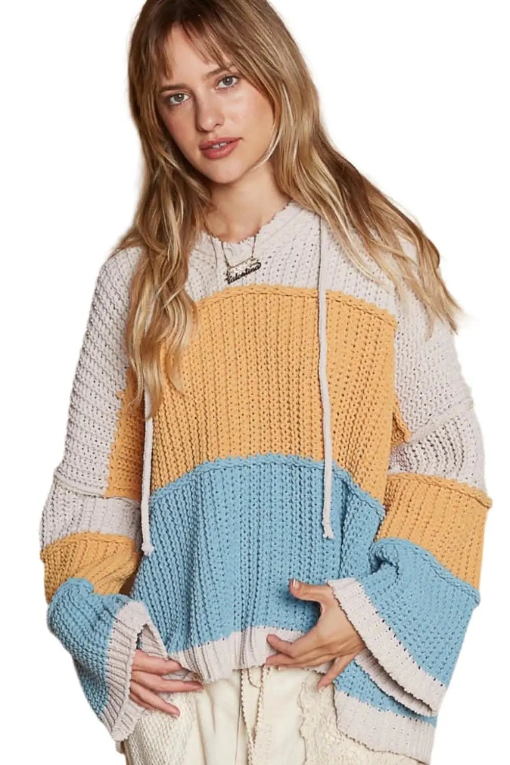 Trendsi Chic color block hooded sweater