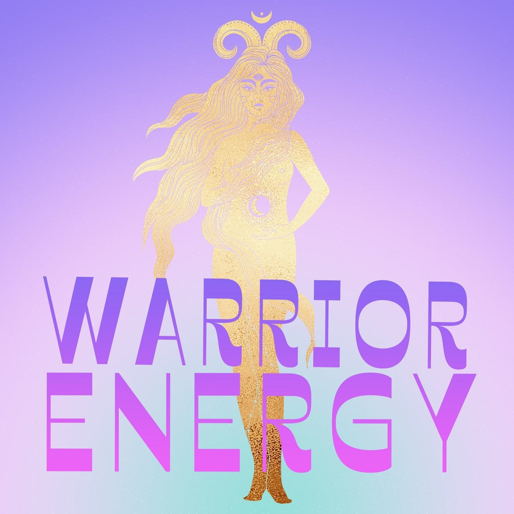 Warrior Gift Box Set