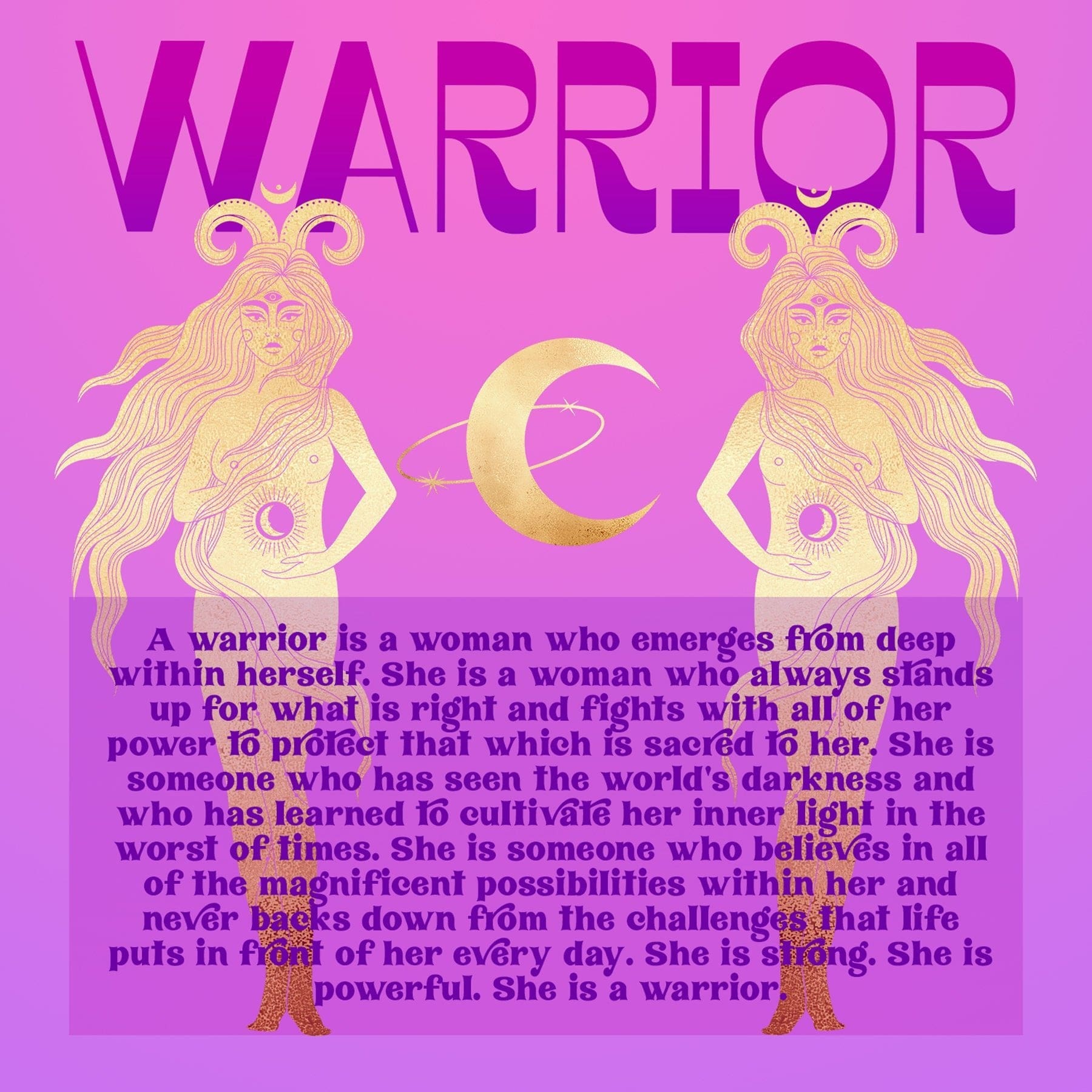 Warrior Gift Box Set