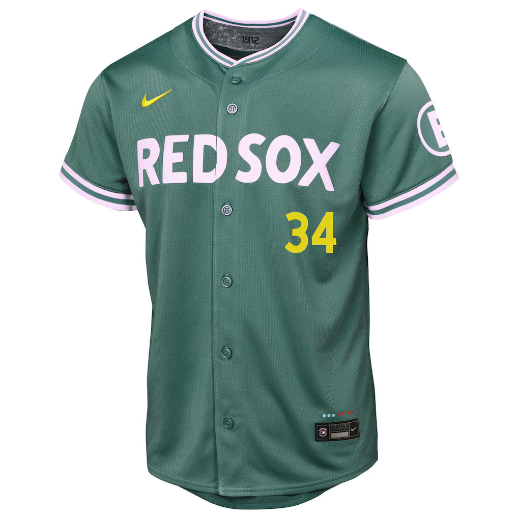 Youth Boston Red Sox David Ortiz Nike Green 2025 City Connect Limited Retired Player Jersey